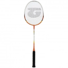 Teloon TL-6600 badmintonracket