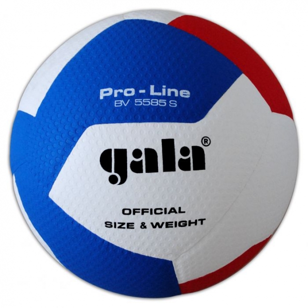 Gala Pro-Line BV5585S volleyboll tuotekuva 1